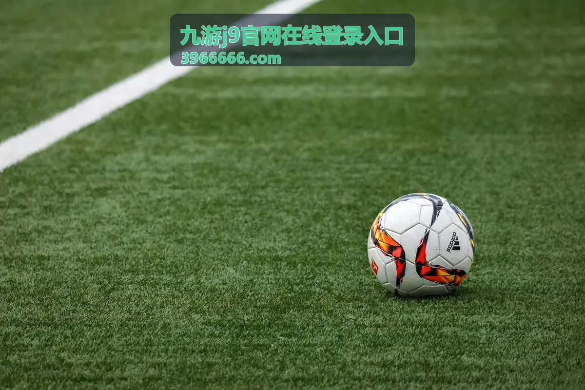 九游j9官网在线登录入口 年度会员权益展示